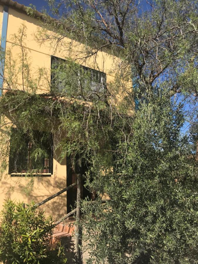 ויינואבה דל טראבוקו Casa Rural “Las Espinosas” מראה חיצוני תמונה
